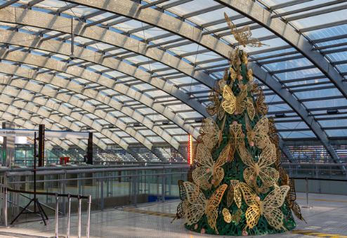 arbol de navidad de Andres Paredes en Constitucion