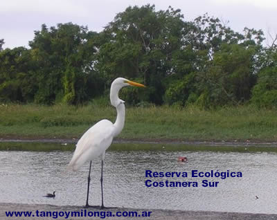 Reserva ecologica