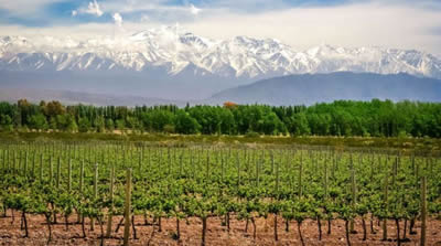 paisaje de Mendoza