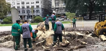 ombu del Ministerio de Defensa