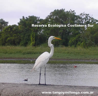 Reserva ecologica Costanera Sur