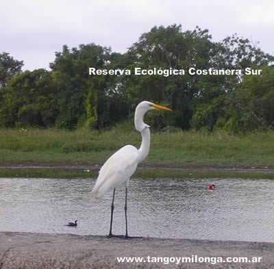 Reserva ecolgica Costanera Sur