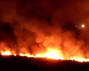 Incendio Reserva Ecologica