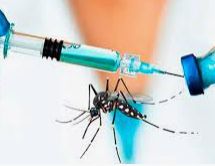Vacuna contra Dengue