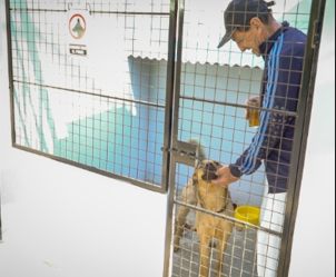 Centro de inclusion para mascotas
