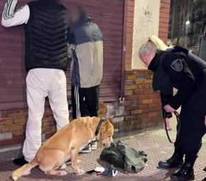 Operativo policial