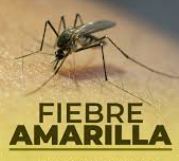 fiebre amarilla