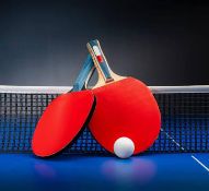 Paletas ping pong